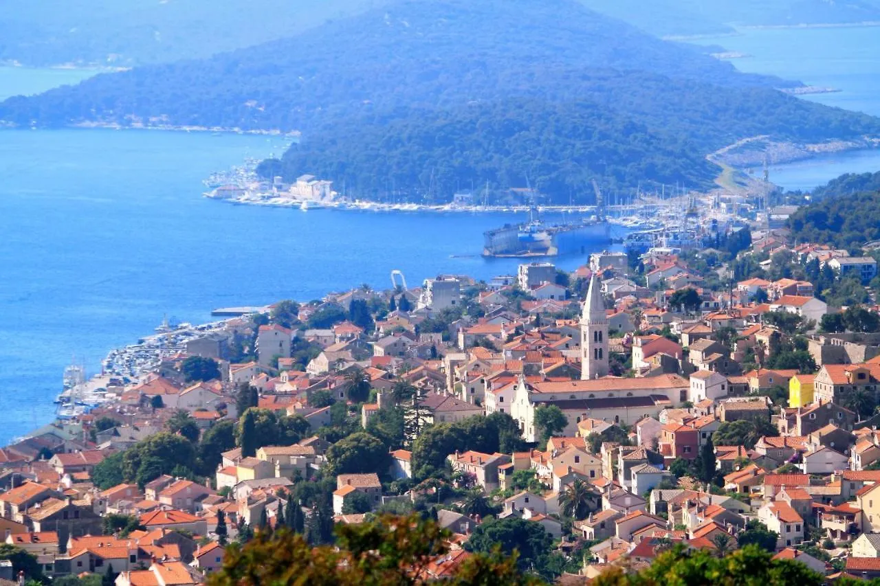 Apartments And Rooms By The Sea Mali Losinj Guest house